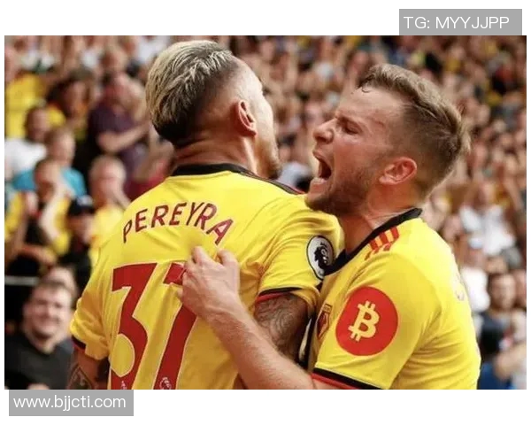 沃特福德奇迹背后的故事与启示：小球队如何逆袭大赛场