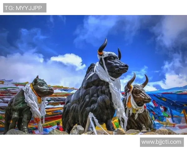 青海卫视全新节目上线探索青藏高原文化与自然之美 青海卫视全新节目上线探索青藏高原文化与自然之美